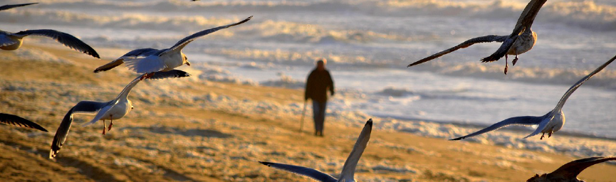 Walking with Intention thumbnail