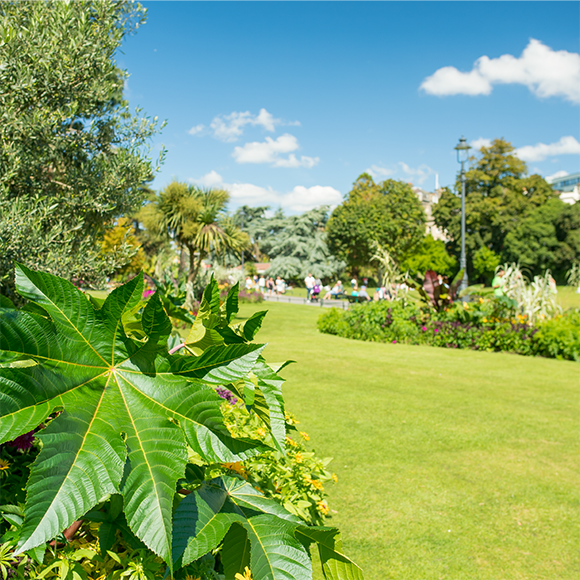Lower Gardens