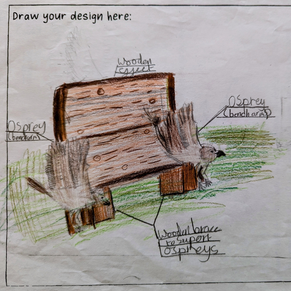The original drawing of a bench design from one of the competition winners, featuring ospreys on the bench arms.