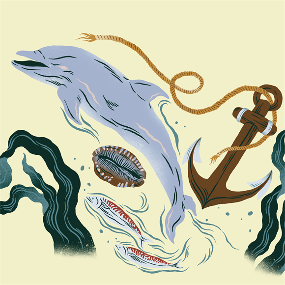 Poole Town Trail Spare